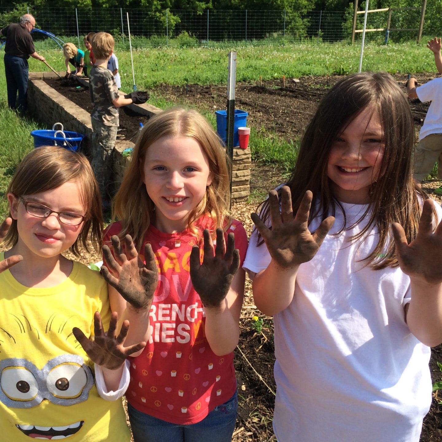 Young girls showing muddy hands from gardening